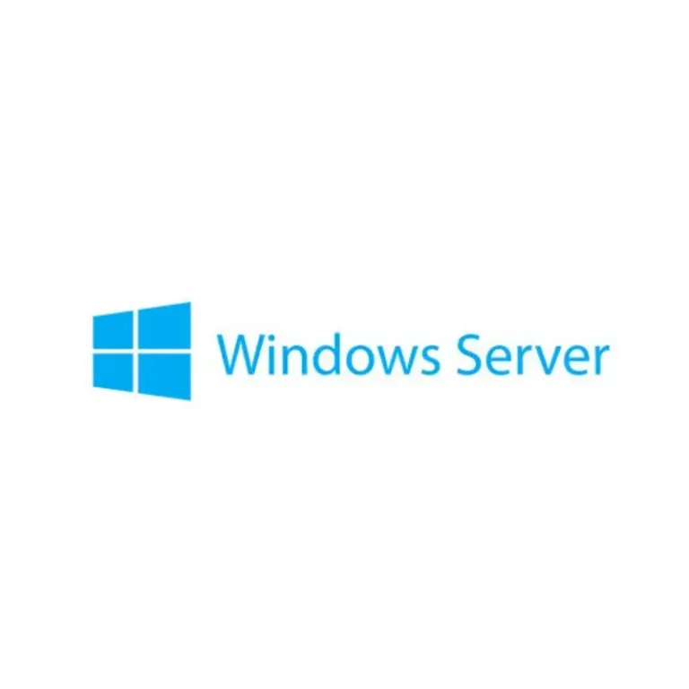 View of Windows Server LOGO Image