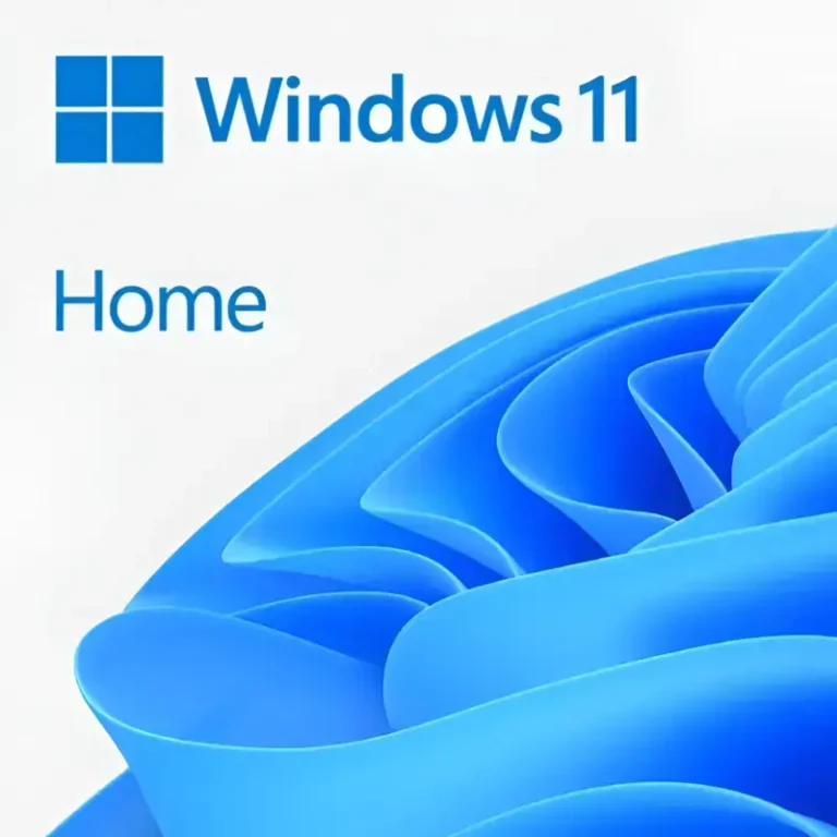 Microsoft Windows 11 Home software packaging, featuring the official OS logo text above the signature blue bloom abstract graphic.