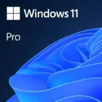 Microsoft Windows 11 Pro operating system packaging, with the OS logo text above the signature blue layered bloom graphic.