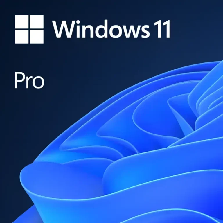Microsoft Windows 11 Pro operating system packaging, with the OS logo text above the signature blue layered bloom graphic.